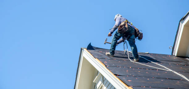 Best Roof Gutter Cleaning  in Oshkosh, WI